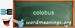 WordMeaning blackboard for colobus